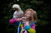 Springville allows chickens